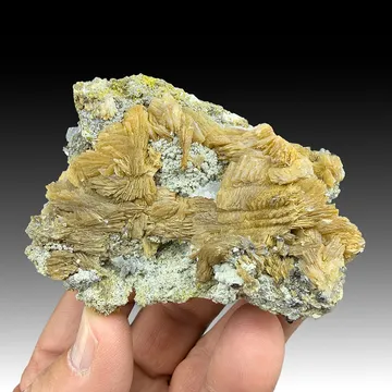 Roweite