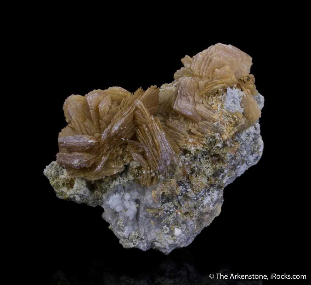 Roweite - image 5