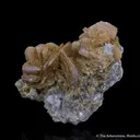 Roweite - image 5