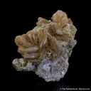 Roweite - image 6