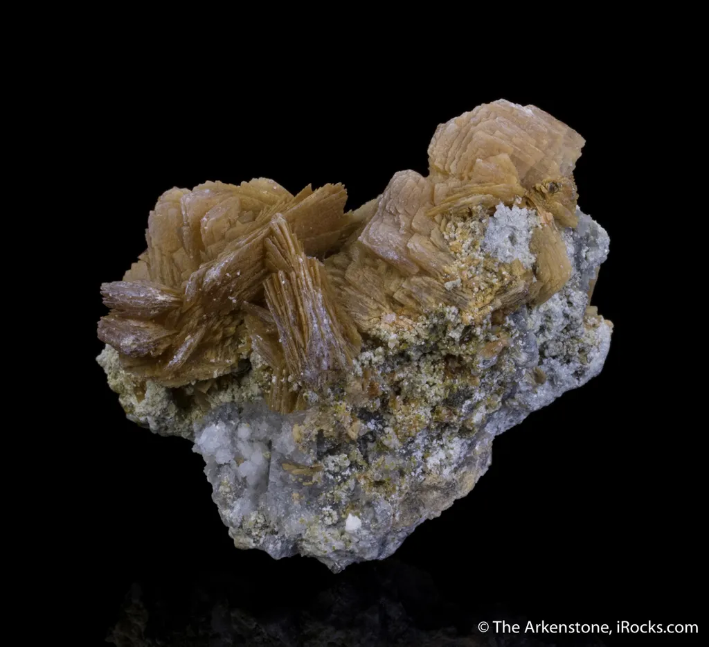 Roweite - image 3