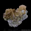 Roweite - image 3