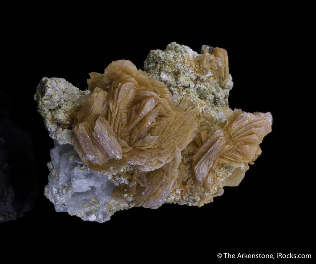 Roweite image