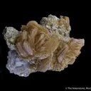 Roweite - image 1