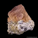 Roweite on Olshanskyite - image 3