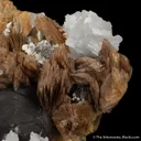 Roweite with Magnetite and Olshanskyite - image 4