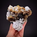 Roweite with Magnetite and Olshanskyite - image 1