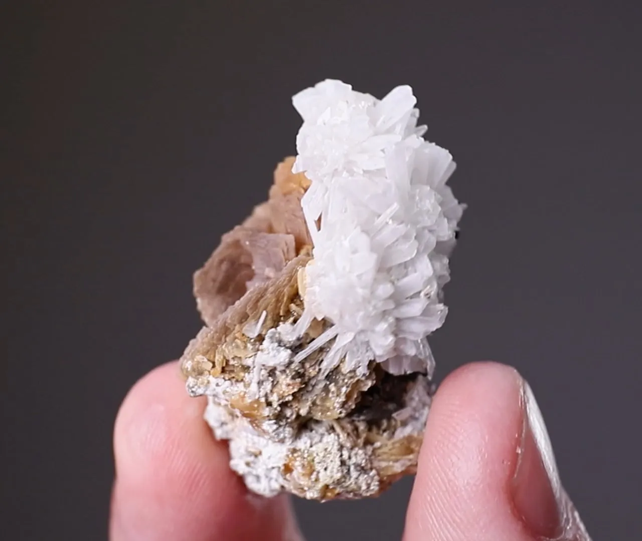 Roweite with Olshanskyite - image 2