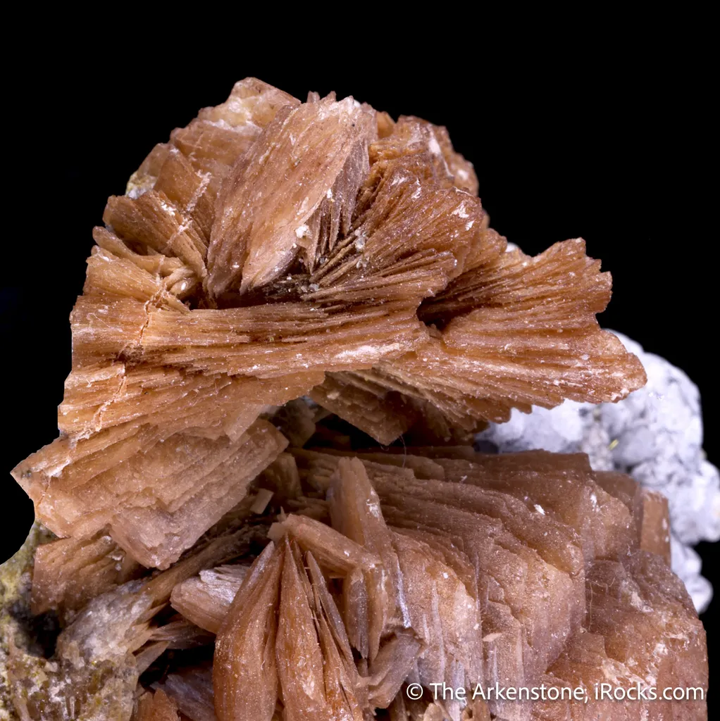 Roweite with Olshanskyite on Calcite - image 4