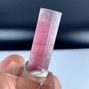 Rubelite Pink Tourmaline from Afghanistan - image 4