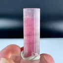 specimen video