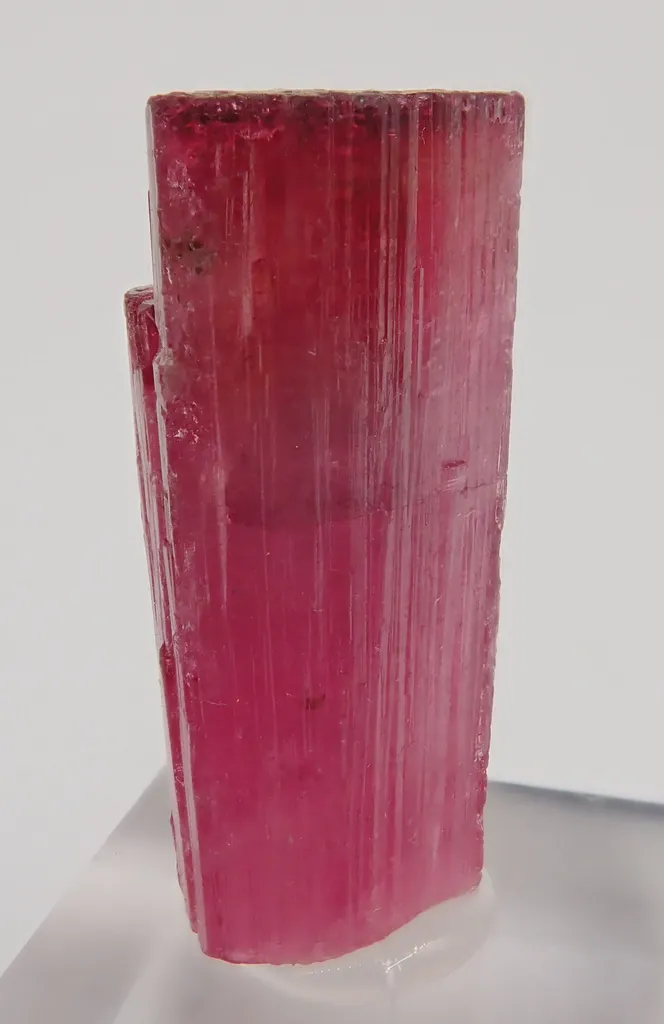 Rubellite image