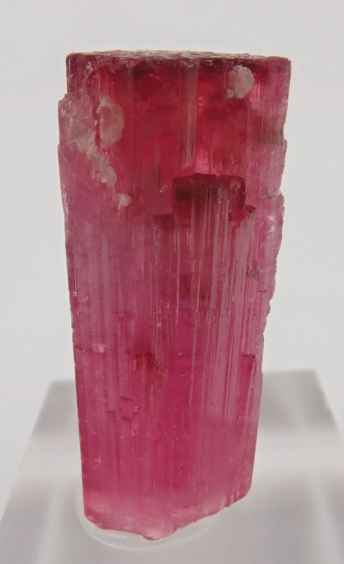 Rubellite - image 5