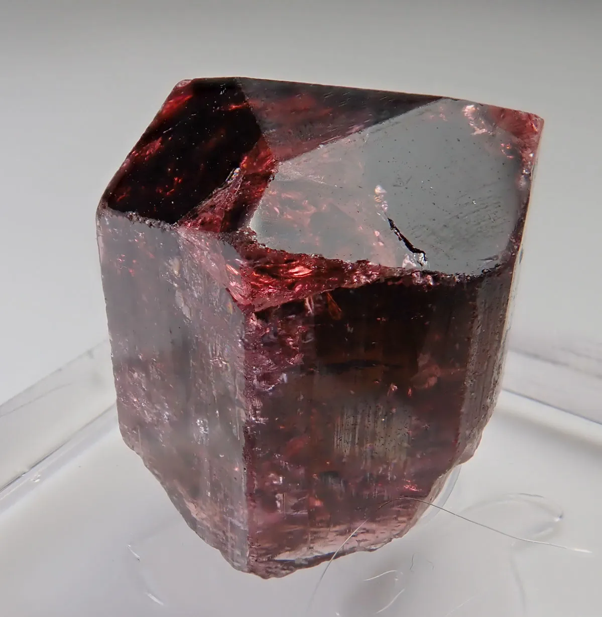 Rubellite  (Elbaite) - image 3