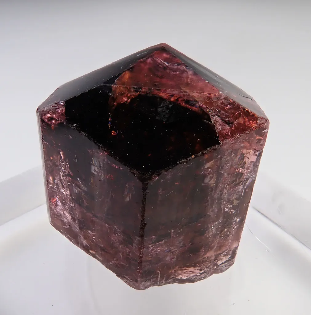 Rubellite  (Elbaite) image