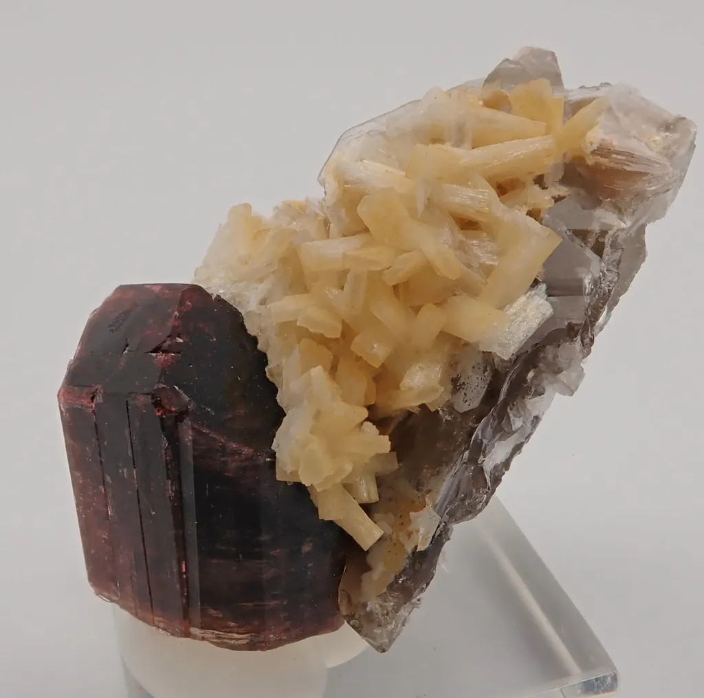 Rubellite (Elbaite) image