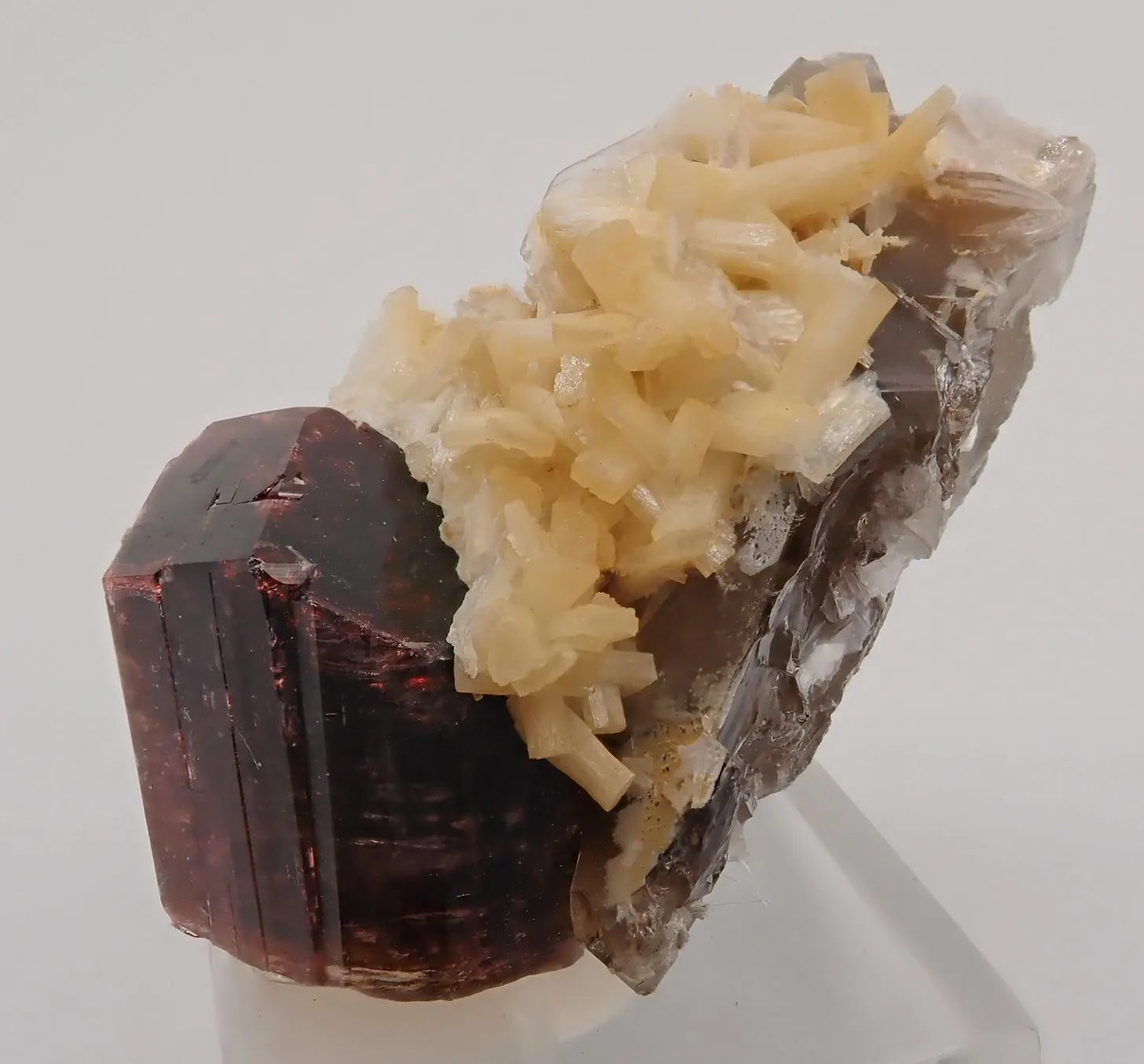 Rubellite (Elbaite) - image 4