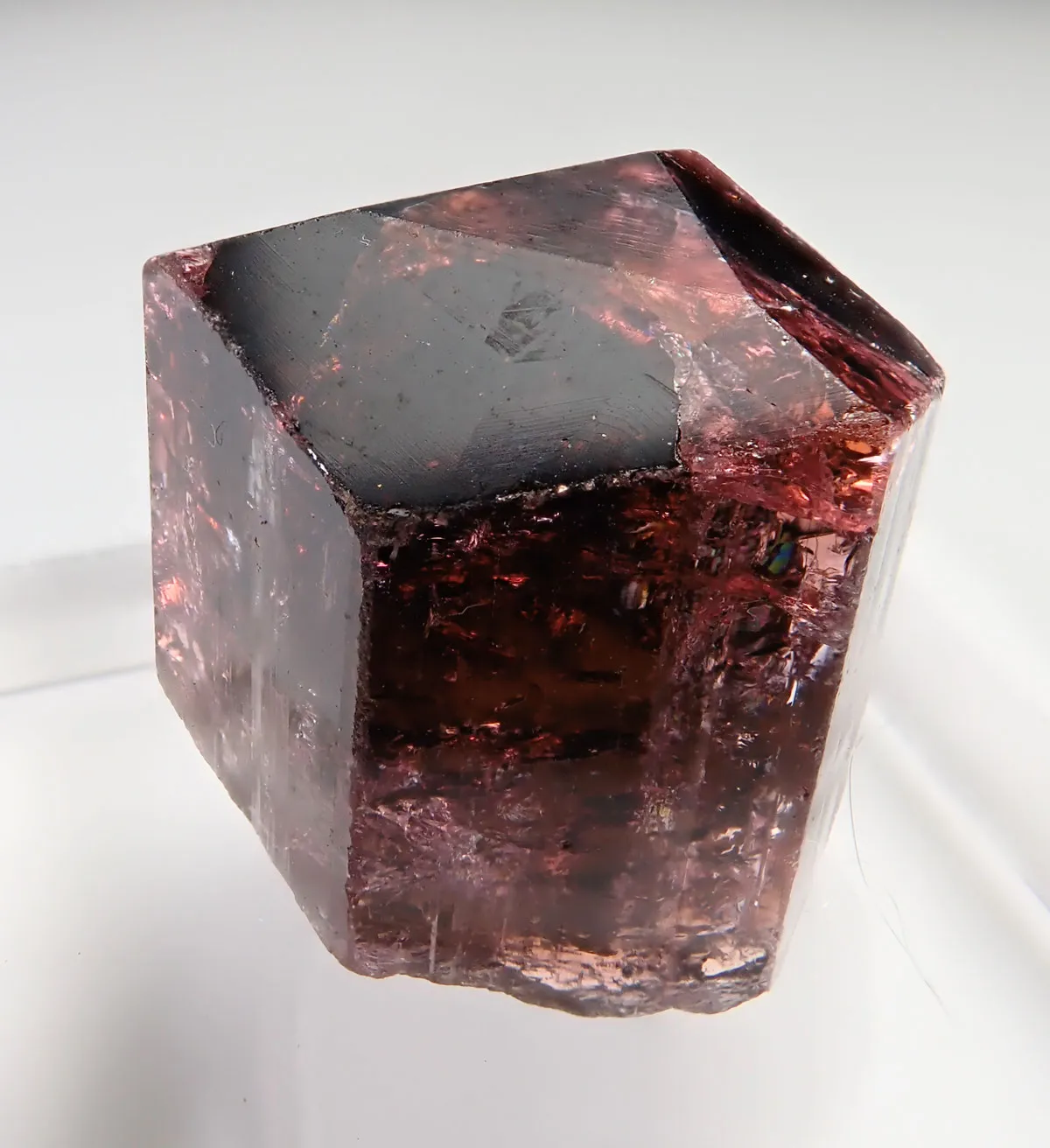Rubellite  (Elbaite) - image 6