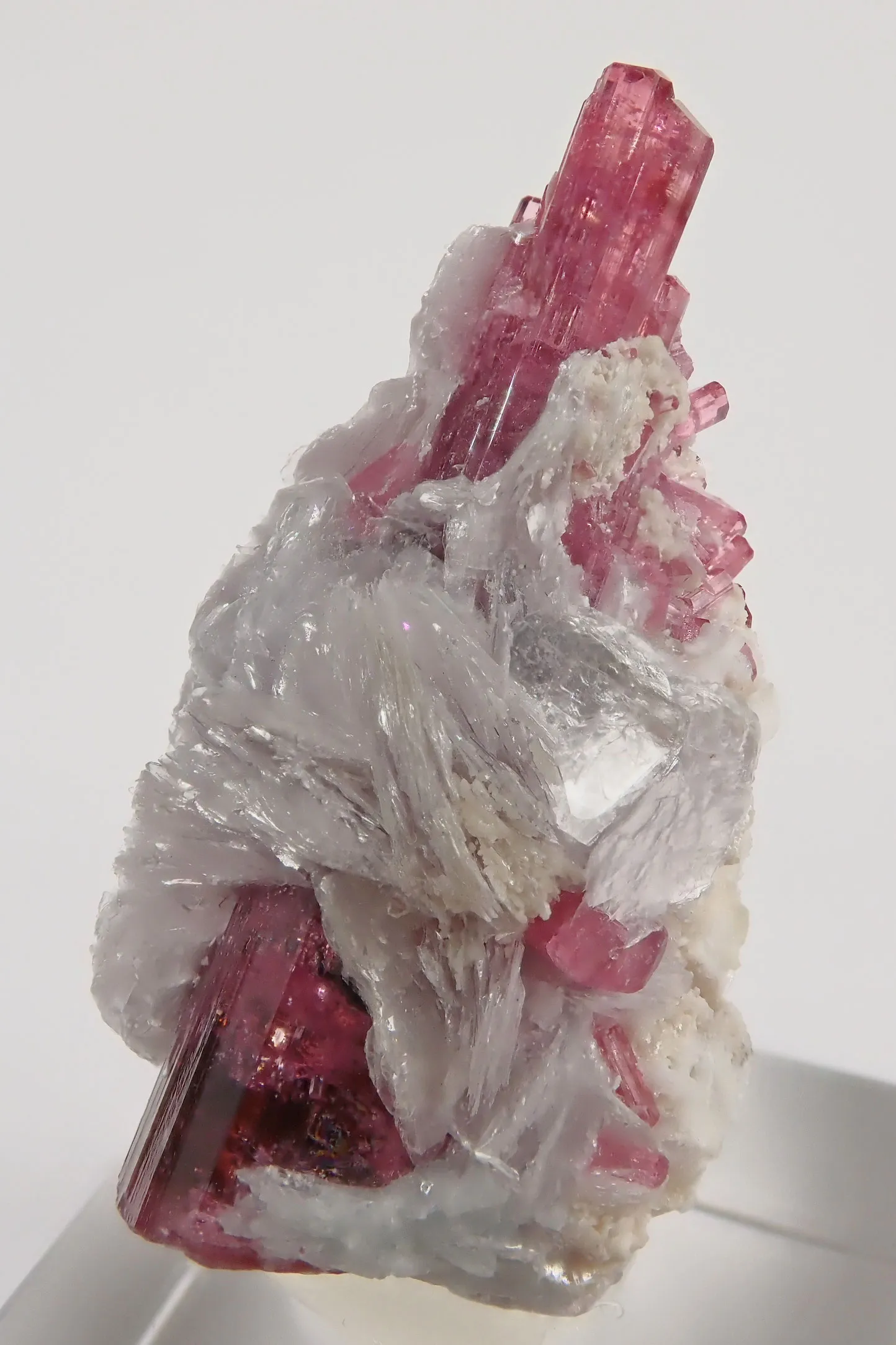 Rubellite (Elbaite) Malkhan Pegmatitic Field, Krasnyi Chikoy, Chitinskaya Oblast, Transbaikal, Eastern Siberia, Russia - image 4