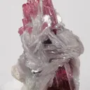 Rubellite (Elbaite) Malkhan Pegmatitic Field, Krasnyi Chikoy, Chitinskaya Oblast, Transbaikal, Eastern Siberia, Russia - image 1