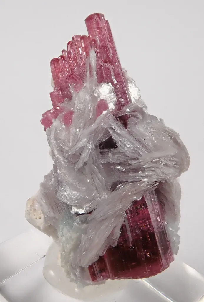 Rubellite (Elbaite) Malkhan Pegmatitic Field, Krasnyi Chikoy, Chitinskaya Oblast, Transbaikal, Eastern Siberia, Russia image