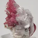 Rubellite (Elbaite) Malkhan Pegmatitic Field, Krasnyi Chikoy, Chitinskaya Oblast, Transbaikal, Eastern Siberia, Russia - image 2