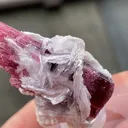 Rubellite (Elbaite) Malkhan Pegmatitic Field, Krasnyi Chikoy, Chitinskaya Oblast, Transbaikal, Eastern Siberia, Russia - image 5