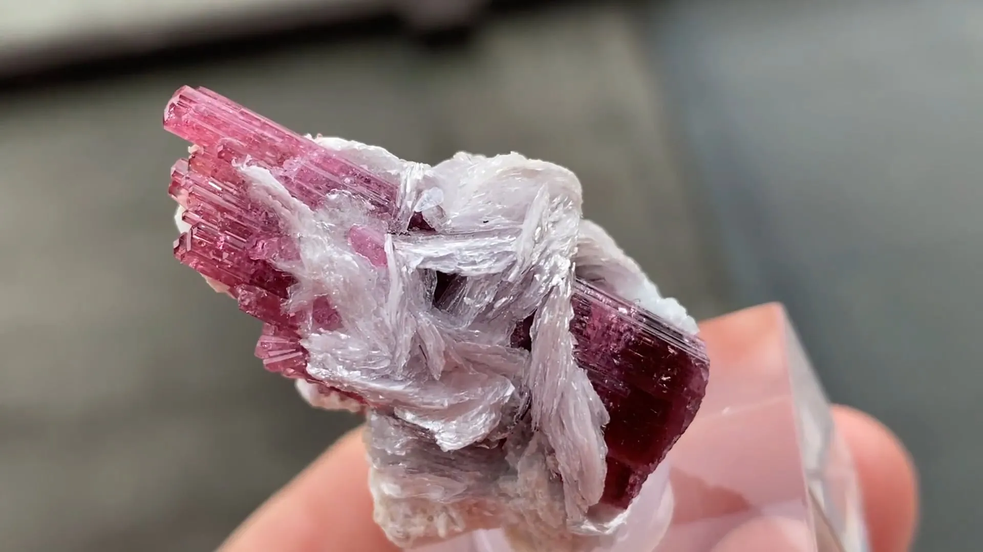 Rubellite (Elbaite) Malkhan Pegmatitic Field, Krasnyi Chikoy, Chitinskaya Oblast, Transbaikal, Eastern Siberia, Russia - image 5