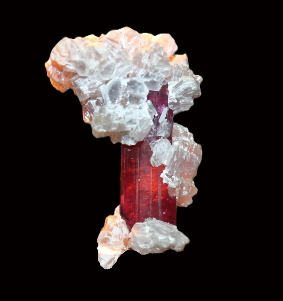 Rubellite from Brazil, Minas Gerais, Conselheiro Pena, Jonas Mine image