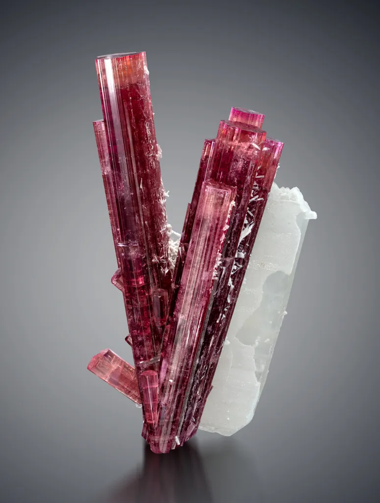 Rubellite from Brazil, Minas Gerais, Coronel Murta image