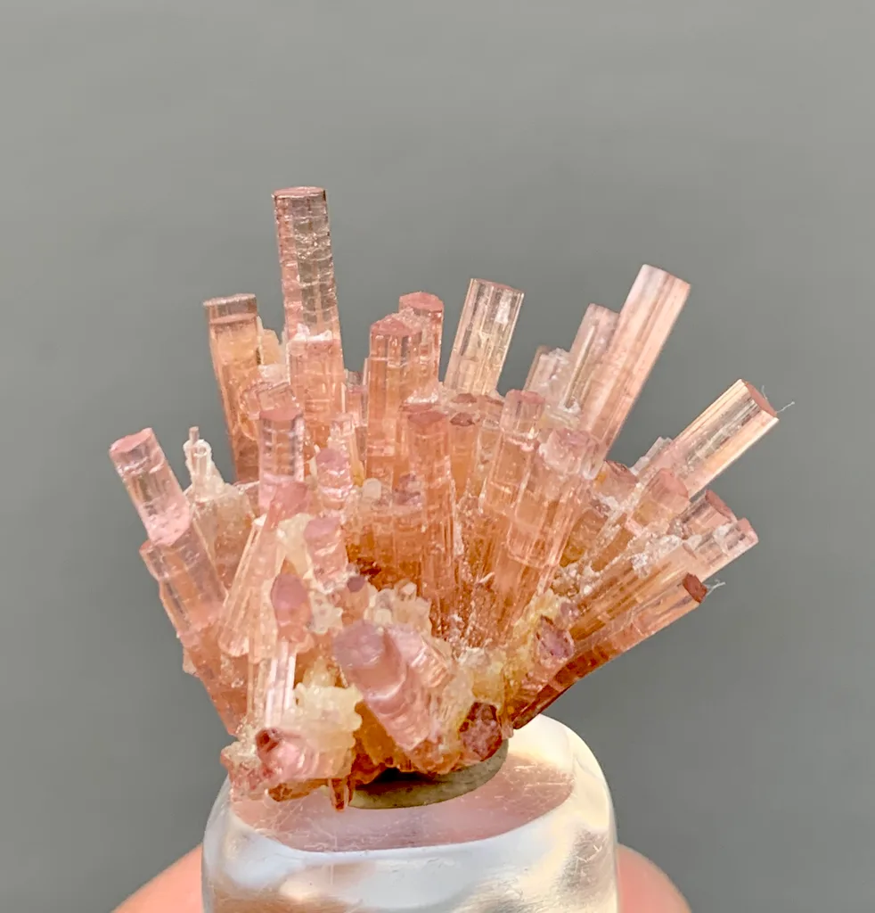 Rubellite from Chhappu, Braldu Valley, Shigar District, Gilgit-Baltistan, Pakistan - image 3