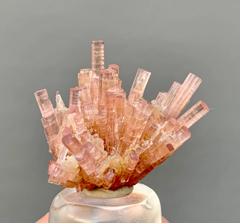 Rubellite from Chhappu, Braldu Valley, Shigar District, Gilgit-Baltistan, Pakistan - image 5