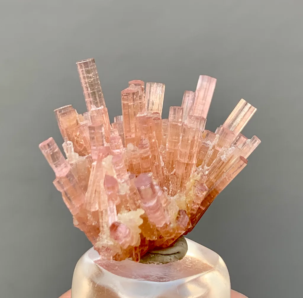 Rubellite from Chhappu, Braldu Valley, Shigar District, Gilgit-Baltistan, Pakistan - image 2