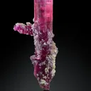 Rubellite from Cruzeiro mine, São José da Safira, Minas Gerais, Brazil - image 2