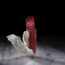 specimen video