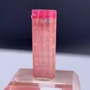 specimen video