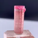 specimen video