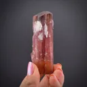 Rubellite Tourmaline - image 1