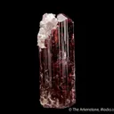 Rubellite Tourmaline - image 4