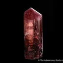 Rubellite Tourmaline - image 6