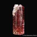 Rubellite Tourmaline - image 1