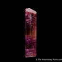 Rubellite Tourmaline - image 5