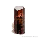 Rubellite Tourmaline - image 4