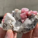 Rubellite (Tourmaline) - image 5