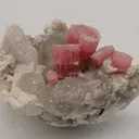 Rubellite (Tourmaline) - image 1