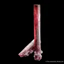 Rubellite Tourmaline - image 3