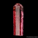 Rubellite Tourmaline - image 4