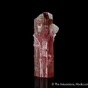 Rubellite Tourmaline - image 5