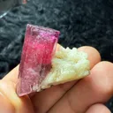 Rubellite Tourmaline from Afghanistan - image 3