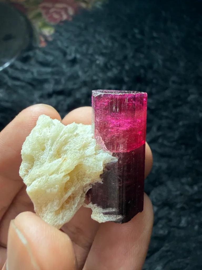 Rubellite Tourmaline from Afghanistan image